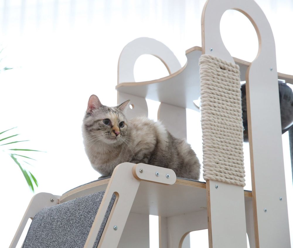 Дизайнеры Tuft + Paw придумали, как развлечь кота и украсить дом хозяина:  Занимательные истории в журнале Ярмарки Мастеров