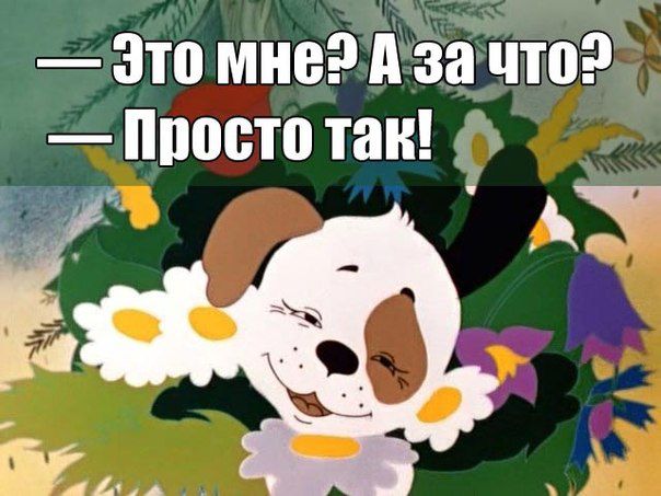 аукцион сегодня аукцион сегодня