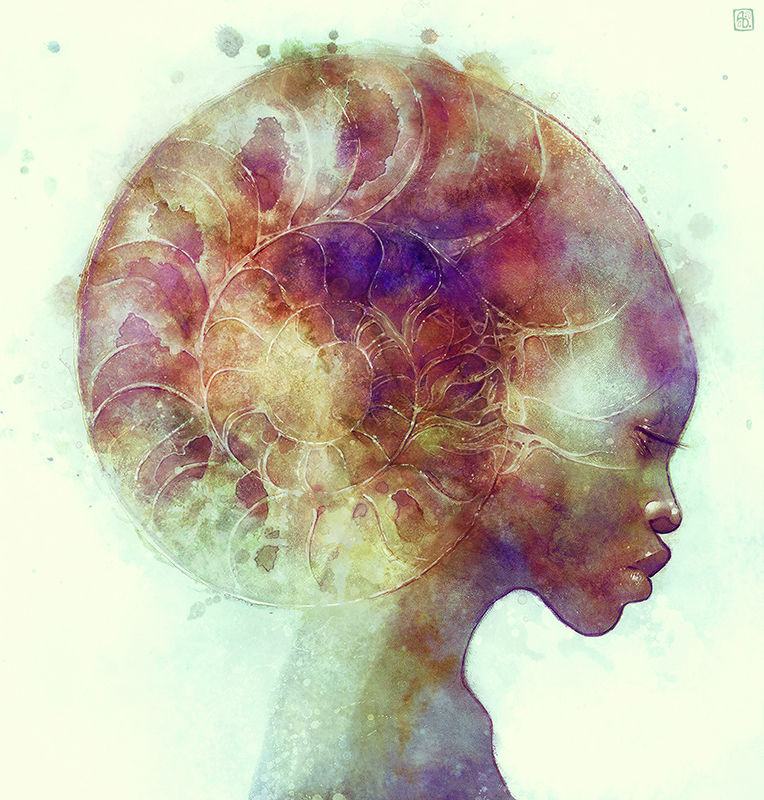 гармония гармония