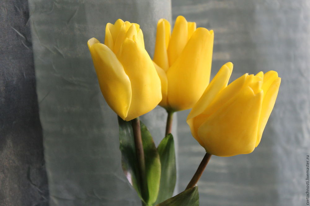 Такие разные тюльпаны. История весеннего цветка, фото № 35