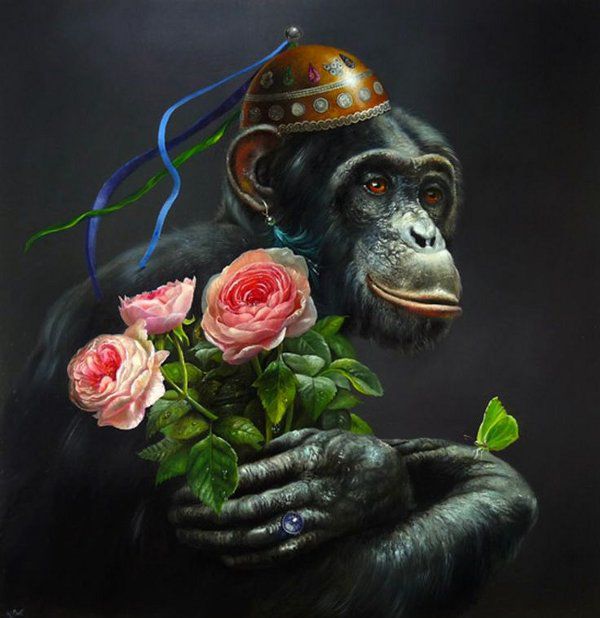 wim bals, �����