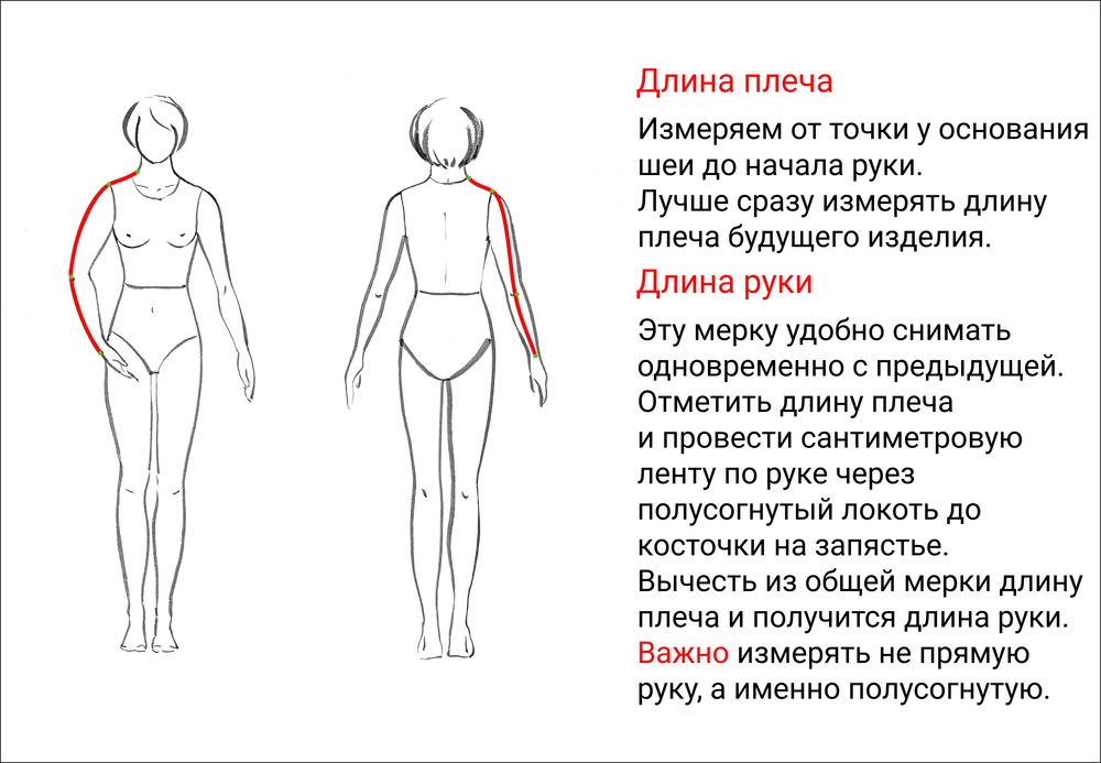 Назовите хвойный образец стройности человеческой фигуры