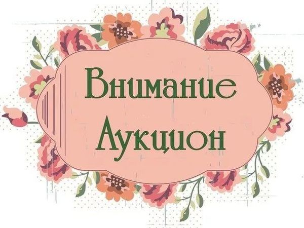 Аукцион