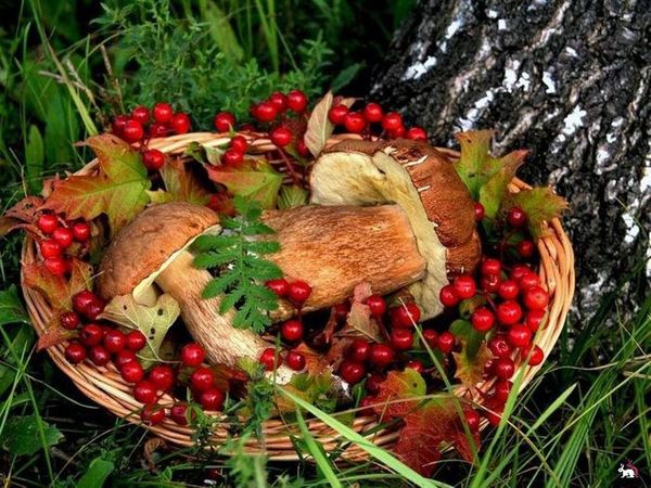 осень красивая, но как женщина часто меняет настроения и хочется снова лето.... мои дни в работе | Ярмарка Мастеров - ручная работа, handmade