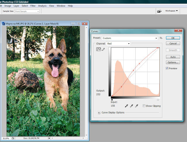 Как я обрабатываю изображения в Фотошопе, фото № 11