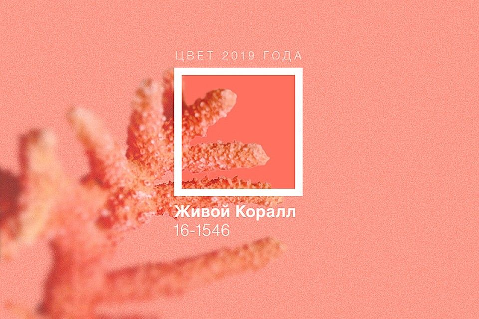 Цвета 2019 году. Живой коралл цвет. Цвет года 2019. Коралловый цвет Pantone. Цвет года пантон 2019.