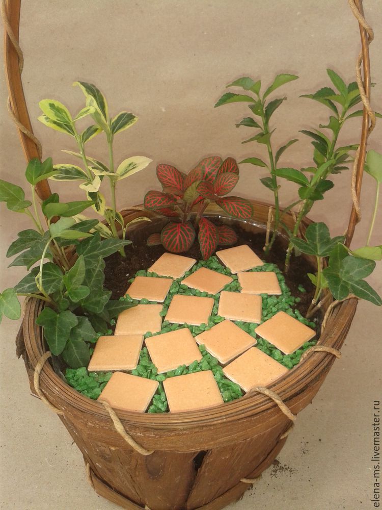 Как правильно изготовить мини-сады из кактусов своими руками