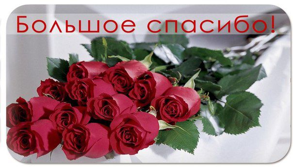 спасибо, конкурс, итоги спасибо, конкурс, итоги