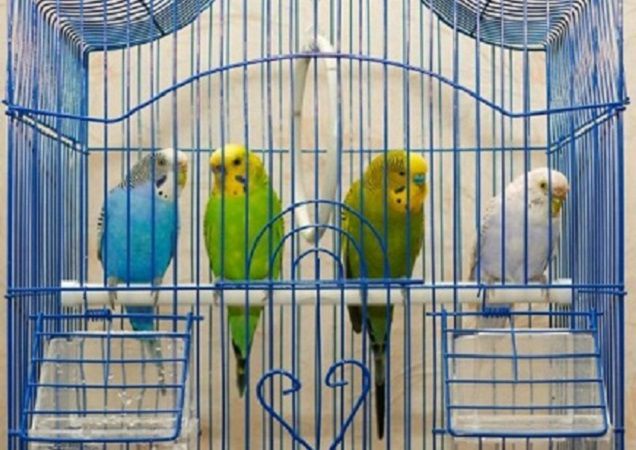 мебель кованая, стиль прованс мебель кованая, стиль прованс