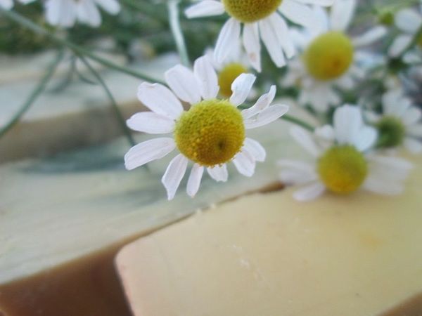 Аукцион с нуля. Завершён! | Ярмарка Мастеров - ручная работа, handmade