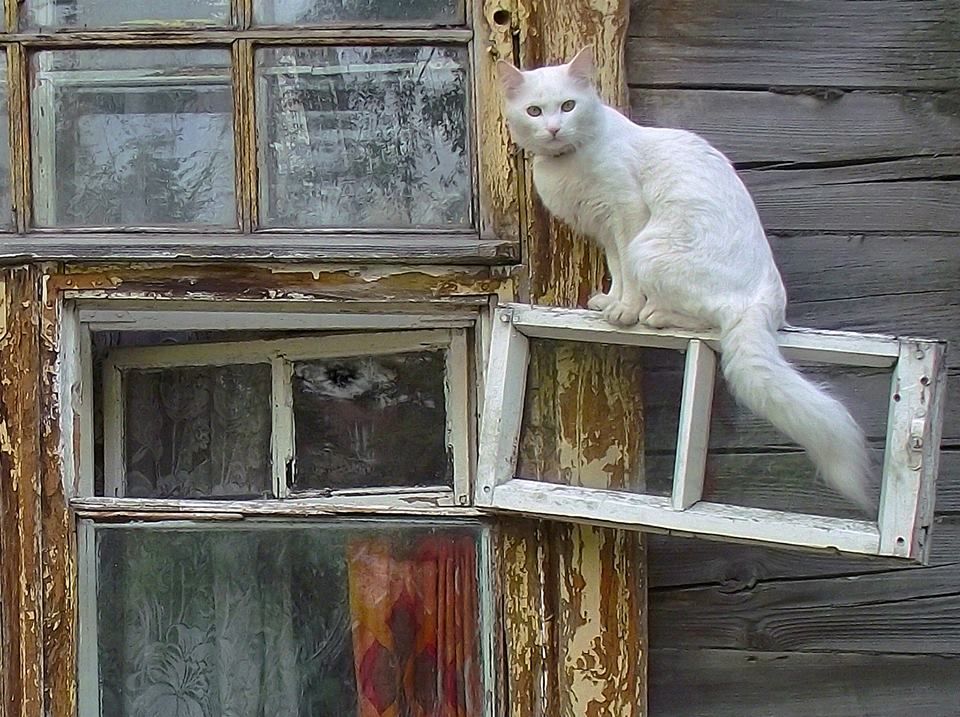 Как нарисовать снег сидящий на форточке