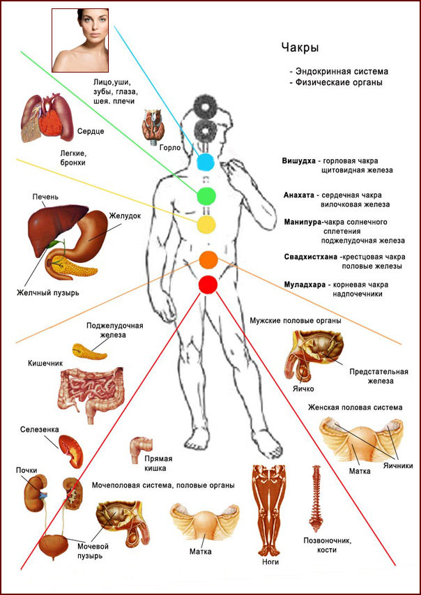 Леночка вас интересует развитие души чакры саморазвитие и выход из обыденности картинки