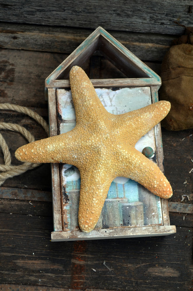 чайки чайки