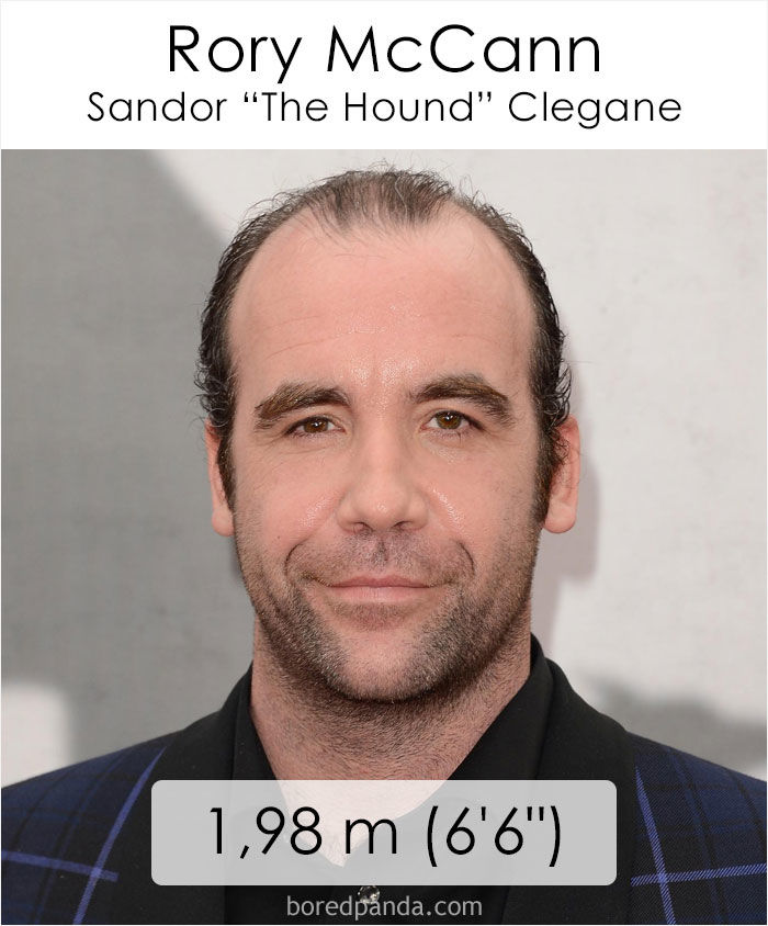 rory mccann height - Ilustrasi 3