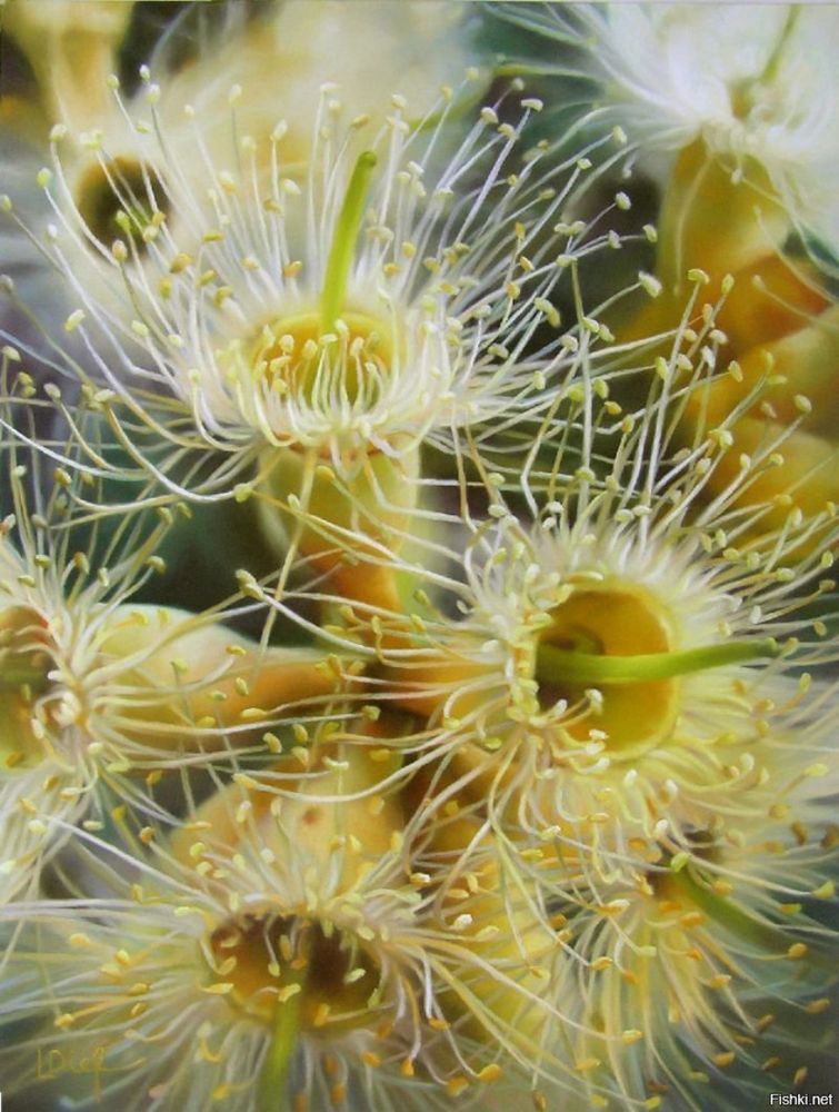 Magical Flowers By Australian Artist Lyn Diefenbach: Ideas ...