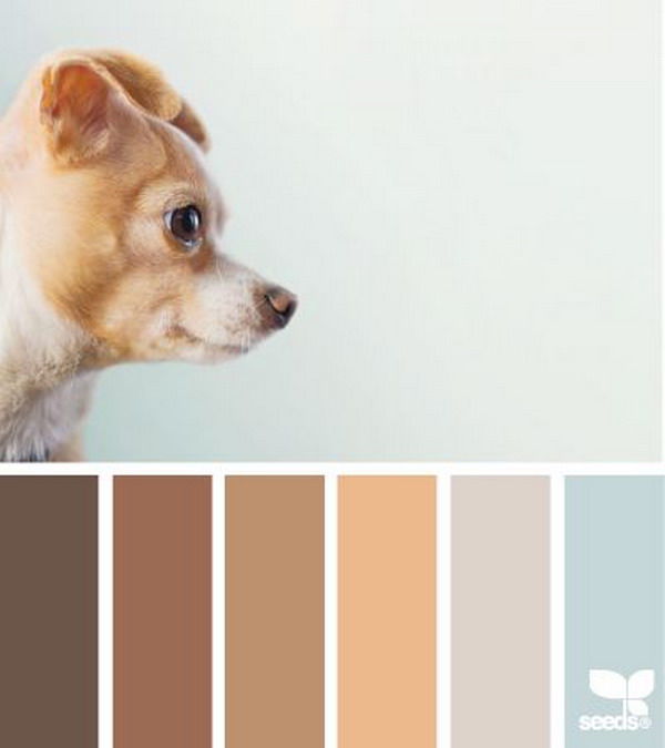 Черпаем вдохновение цветом в мире щеночков. Часть 4: Идеи и вдохновение в журнал