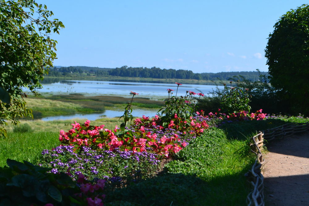 литература литература