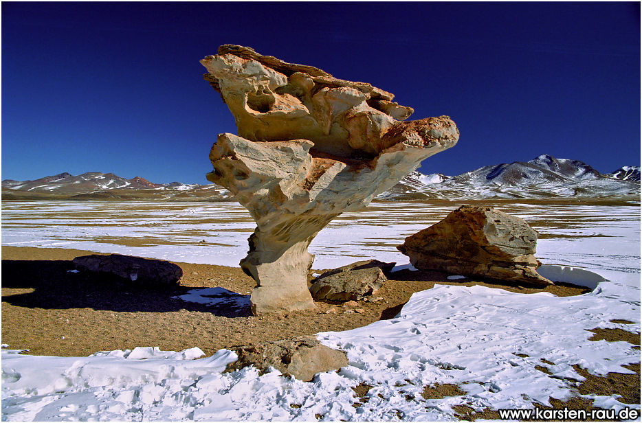 Формы природы. Арбол де Пьедра. Уюни каменные грибы. Природные скульптуры. Природные скульптуры из камня.
