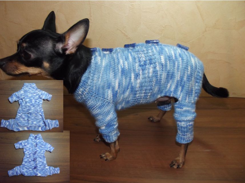 Одежда для собак своими руками - выкройки одежды для собак