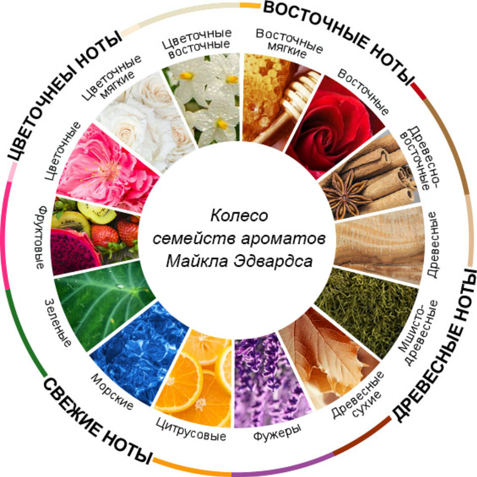 Вкус И Цвет Интернет Магазин