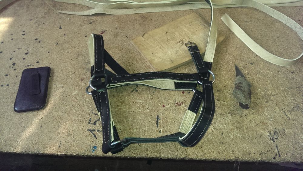 Взгляд изнутри шорник, фото № 5