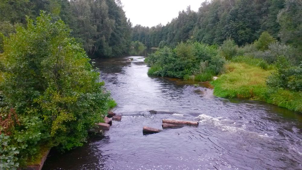 Сплав по реке Узола Нижегородская область