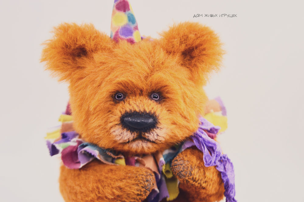 Orange bear. Teddy Orange.