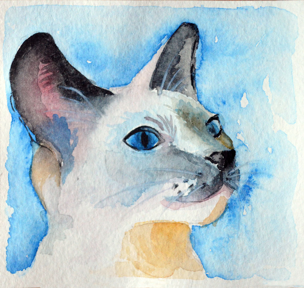 Рисунок акварелью «Осенний кот»