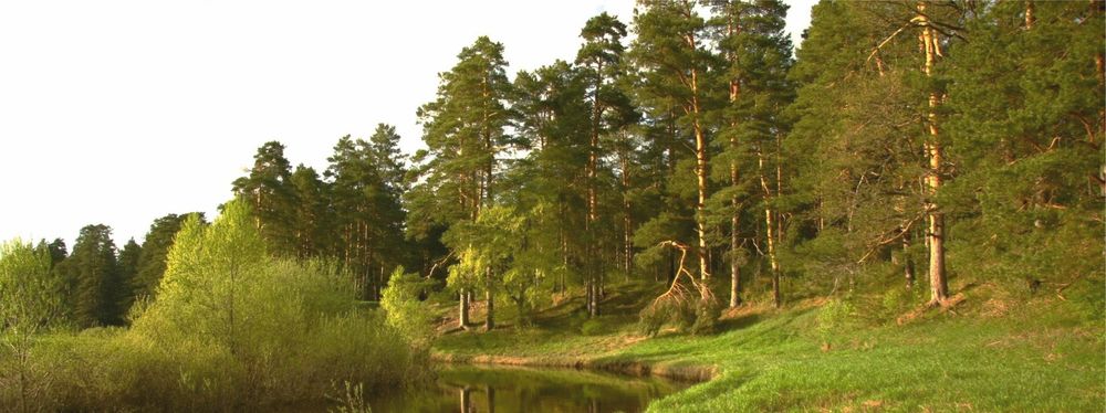 Přírodní ekotextilie do každého domova!, foto č. 1