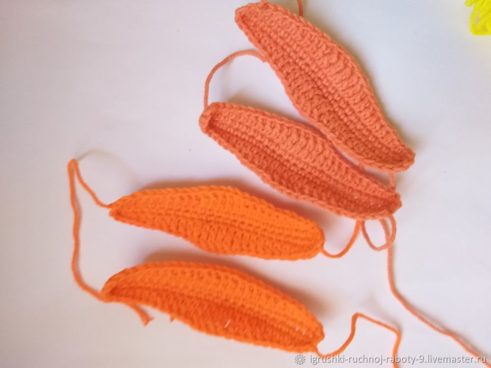 ����� ���������, ���� � 5