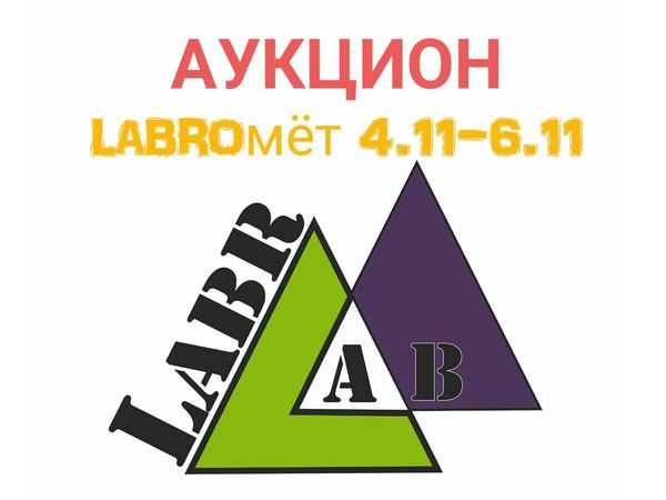 ОКОНЧЕН! Многолотовый аукцион