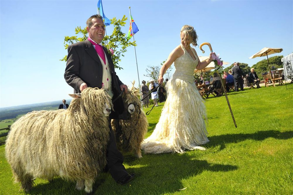 Sheep in Wedding Dress