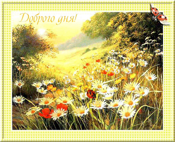 подарок подарок