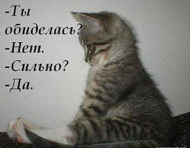 картинка я больше не обижаюсь как