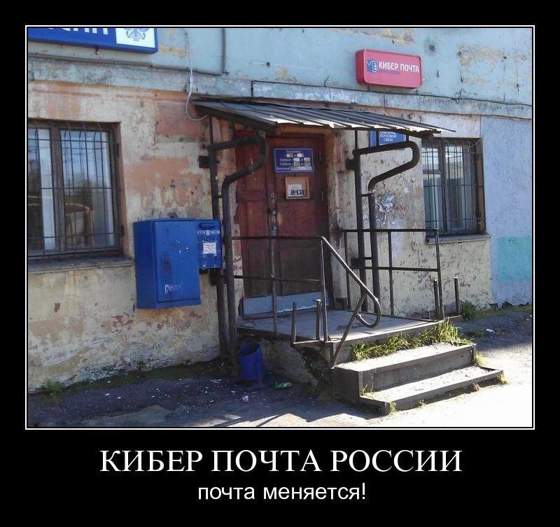 Цветы котятами, смешные картинки про почту
