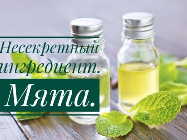 Несекретный ингредиент.Мята | Ярмарка Мастеров - ручная работа, handmade