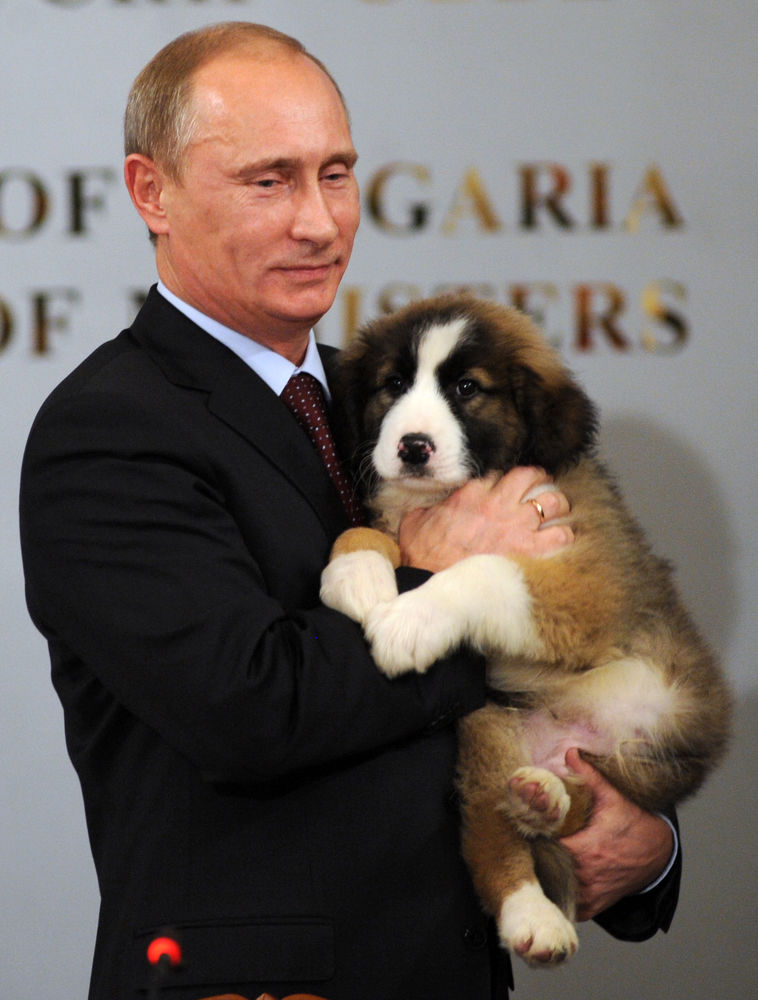 Собаки Путина Фото Какие Есть
