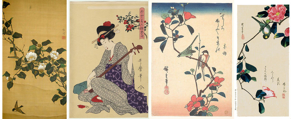 Прекрасная камелия – цветок без запаха для парфюмера, символ hanel и японских самураев, фото № 8