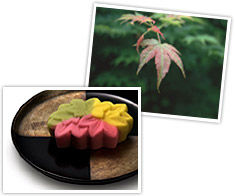 Японские сладости &8211 вагаси, японская кухня., фото № 6