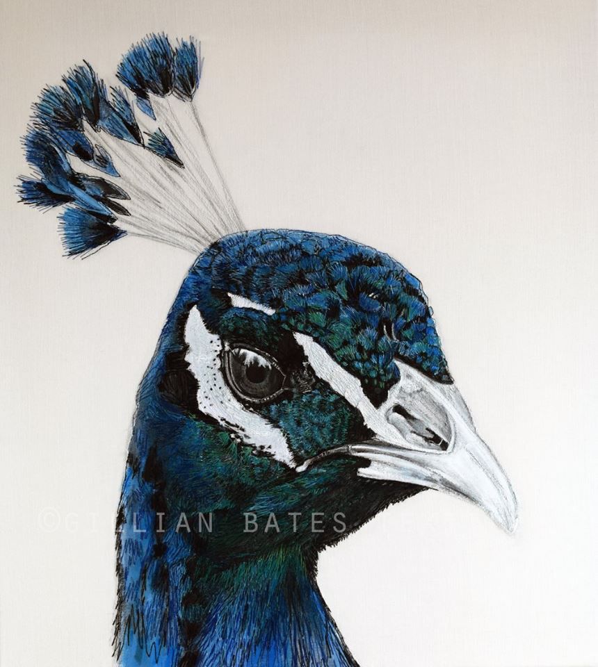 Inspired by Nature: Textile Artist Gillian Bates: Ideas & Inspiration в ...