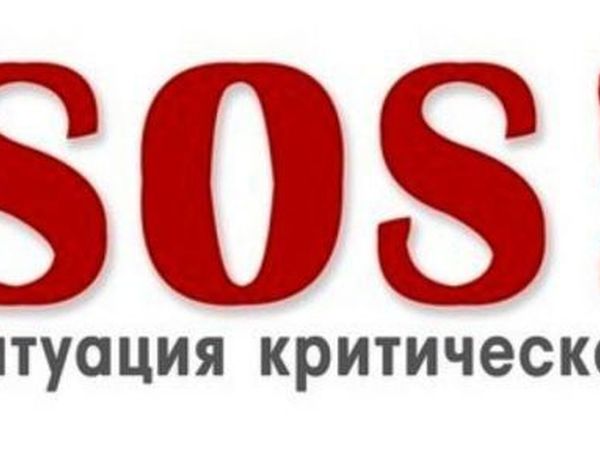 Sos!sos!sos!очень нужна ваша помощь | Ярмарка Мастеров - ручная работа, handmade