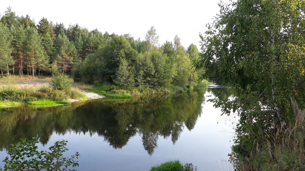 Река узола нижегородская область фото