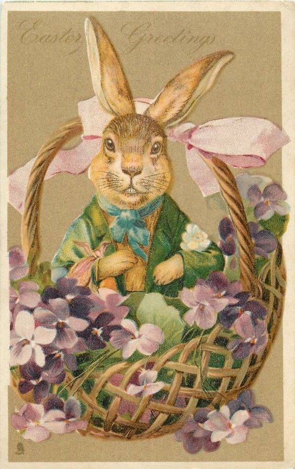 Советы от кролика - открытка