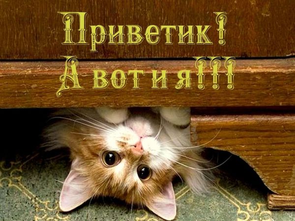 Я не потерялась... я работаю...))) | Ярмарка Мастеров - ручная работа, handmade