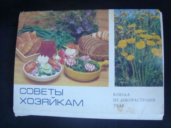 СОВЕТЫ ХОЗЯЙКАМ БЛЮДА ИЗ ДИКОРАСТУЩИХ ТРАВ СКАЧАТЬ БЕСПЛАТНО СОВЕТЫ ХОЗЯЙКАМ БЛЮДА ИЗ ДИКОРАСТУЩИХ ТРАВ СКАЧАТЬ БЕСПЛАТНО