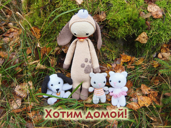 Помощь бездомным животным в СПб | Ярмарка Мастеров - ручная работа, handmade