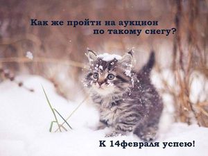 аукцион, аукцион сегодня, акция, подарки, купить подарки, распродажа готовых работ, купить на аукционе, купить недорого, подарки недорогоМои цветочки на аукционе аукцион, аукцион сегодня, акция, подарки, купить подарки, распродажа готовых работ, купить на аукционе, купить недорого, подарки недорого