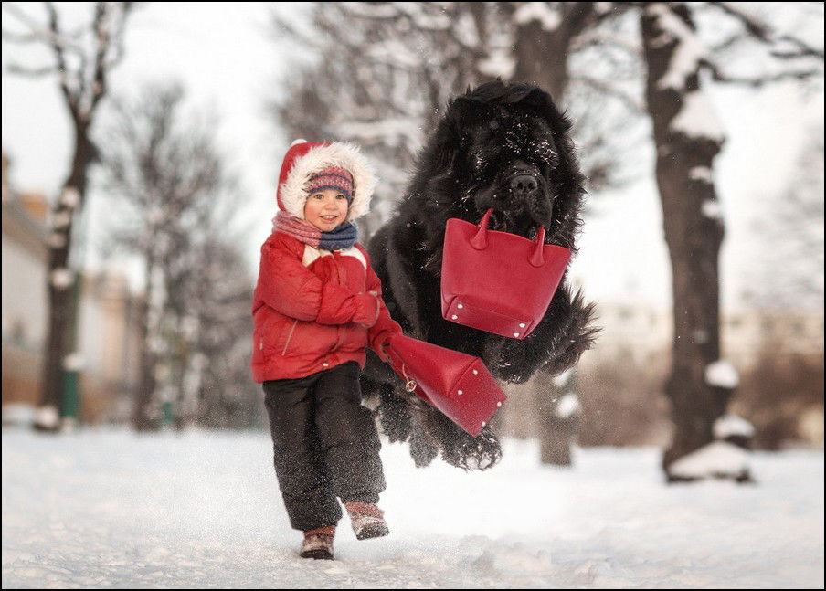 Kids and store their big dogs