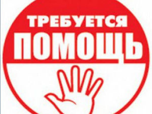 Собираем средства на лечение. Благотворительная лотерея. | Ярмарка Мастеров - ручная работа, handmade