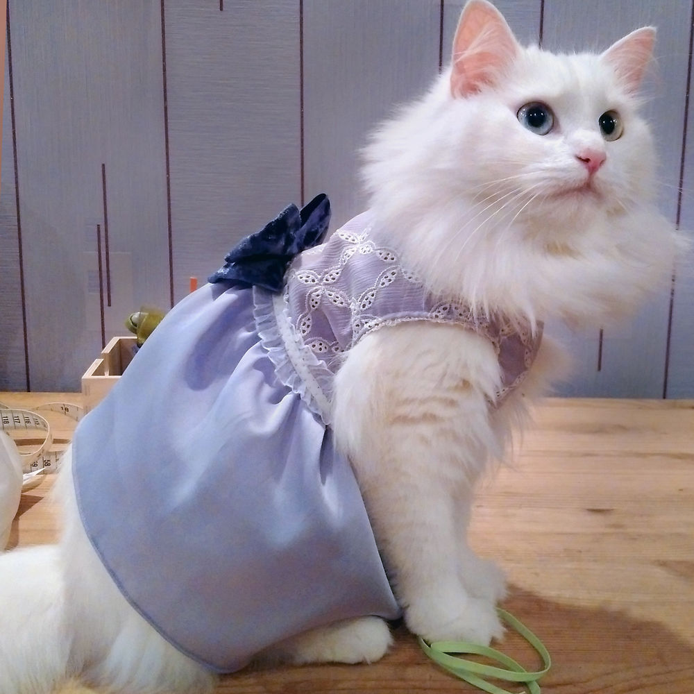 Платье кошки